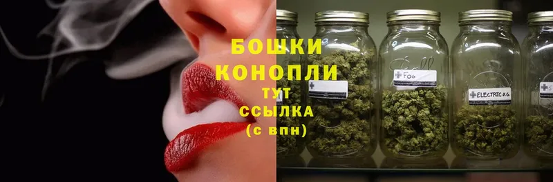 Бошки марихуана SATIVA & INDICA  купить наркотики сайты  Бабушкин 